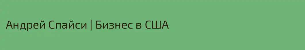 Андрей Спайси | Бизнес в США